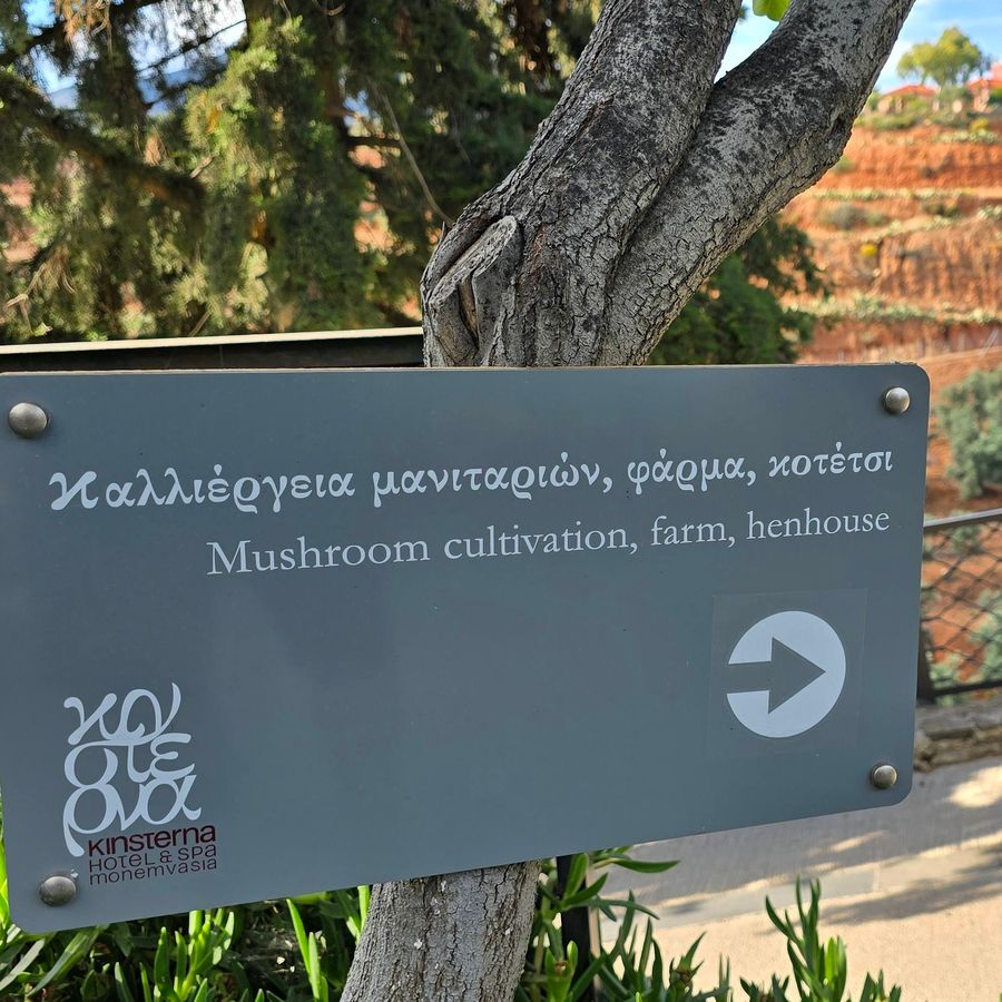 502560667_1109805277844507_2789056692829248382_n (2).jpg